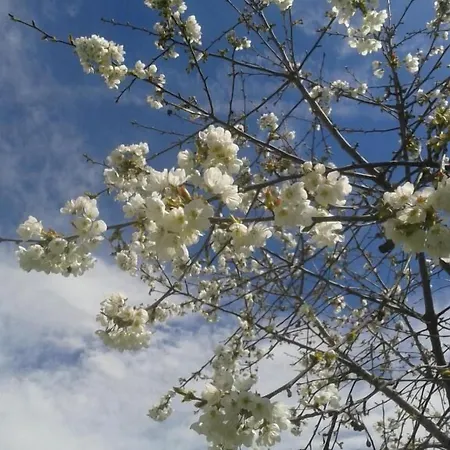 D'hotes L'enclos Des Jacobins 3* Saint-Girons (Ariege)