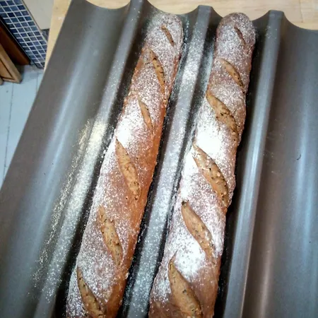 D'hotes L'enclos Des Jacobins Frühstückspension Saint-Girons (Ariege)