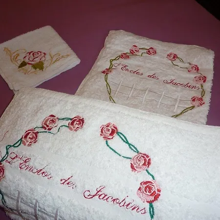 Frühstückspension D'hotes L'enclos Des Jacobins Saint-Girons (Ariege)